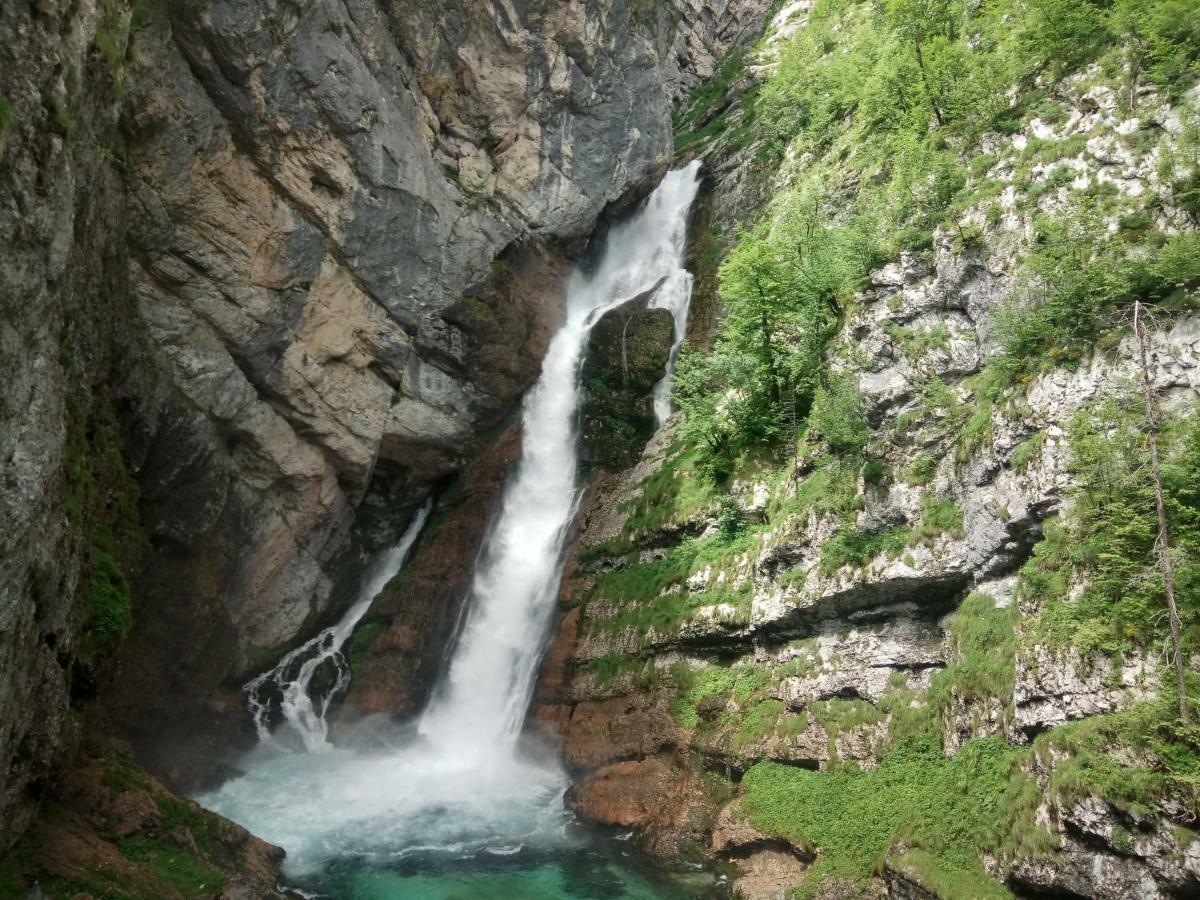 House Budkovic Bohinj Εξωτερικό φωτογραφία